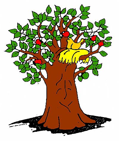 Logo Andaina